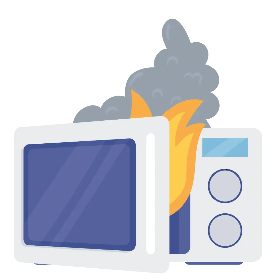 microwave Electrical Problems